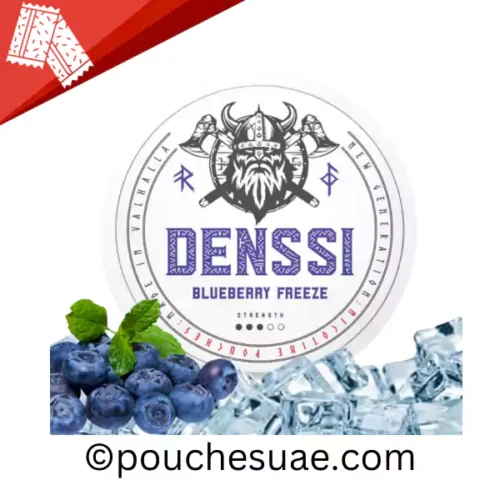 denssi blueberry freeze